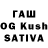 Ecstasy XTC Pasha Bacha