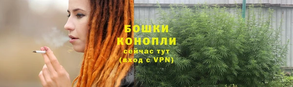 гашик Надым