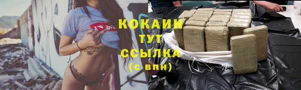 прущие грибы Навашино
