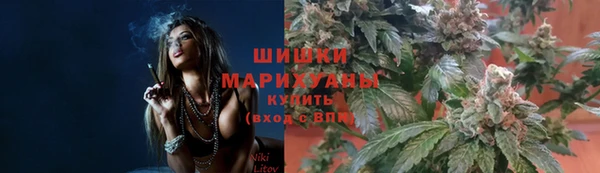 прущие грибы Навашино