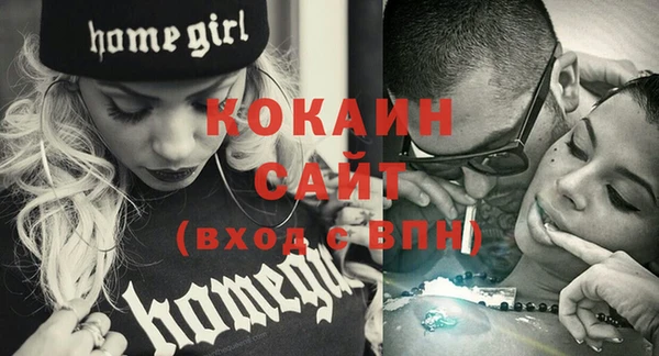 гашик Надым