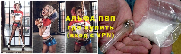 прущие грибы Навашино