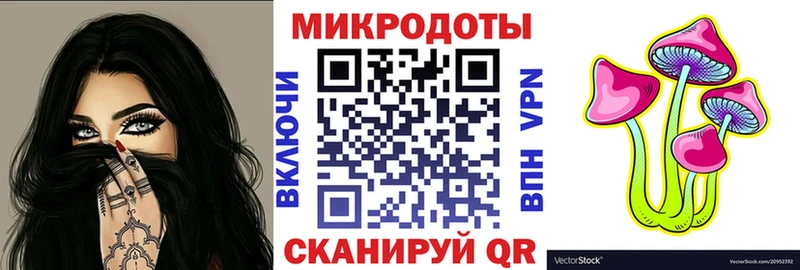 блэк спрут зеркало  Шагонар  Псилоцибиновые грибы Psilocybe 